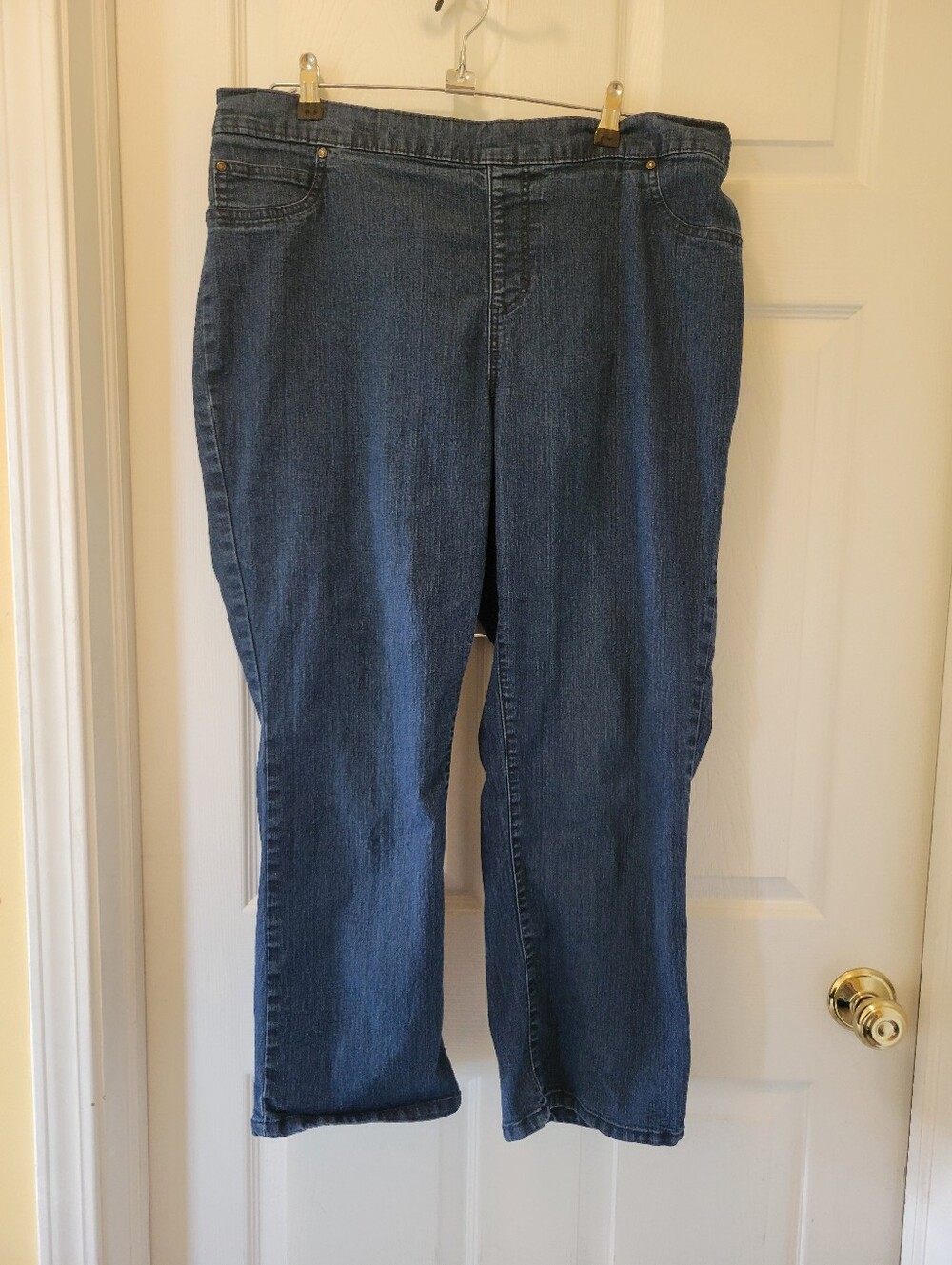 Womens 1X Petite Pull On Jeans